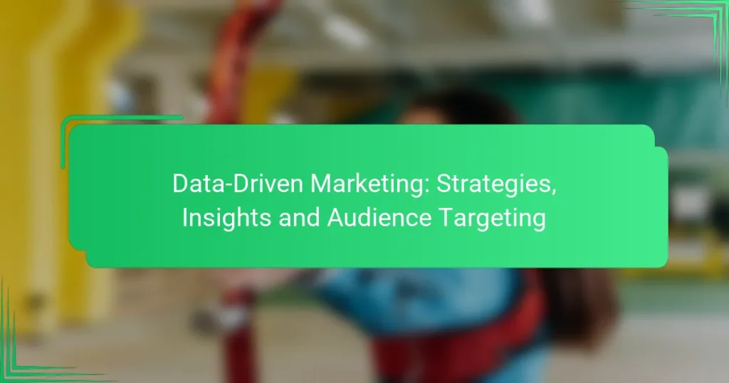 Data-Driven Marketing: Strategies, Insights and Audience Targeting