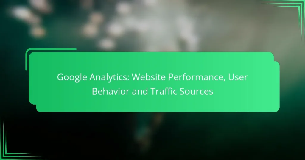 Google Analytics: Website Performance, User Behavior and Traffic Sources