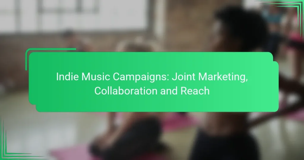 Indie Music Campaigns: Joint Marketing, Collaboration and Reach