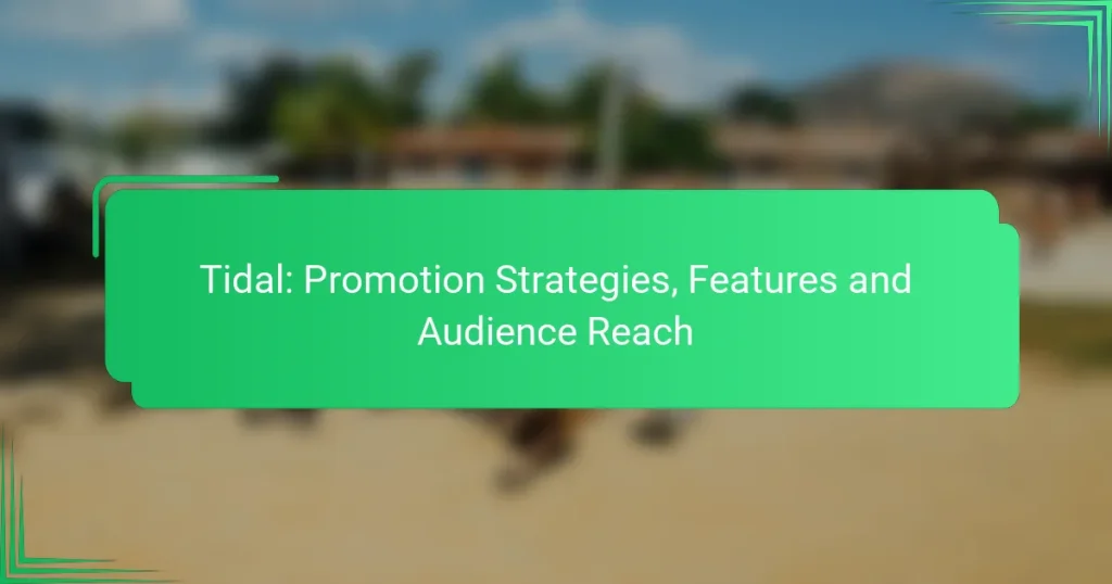 Tidal: Promotion Strategies, Features and Audience Reach
