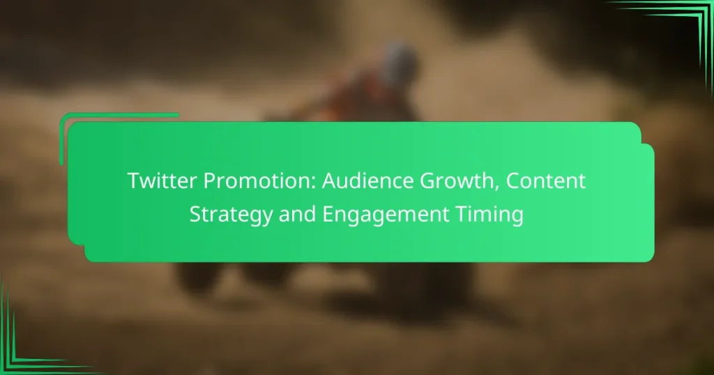 Twitter Promotion: Audience Growth, Content Strategy and Engagement Timing