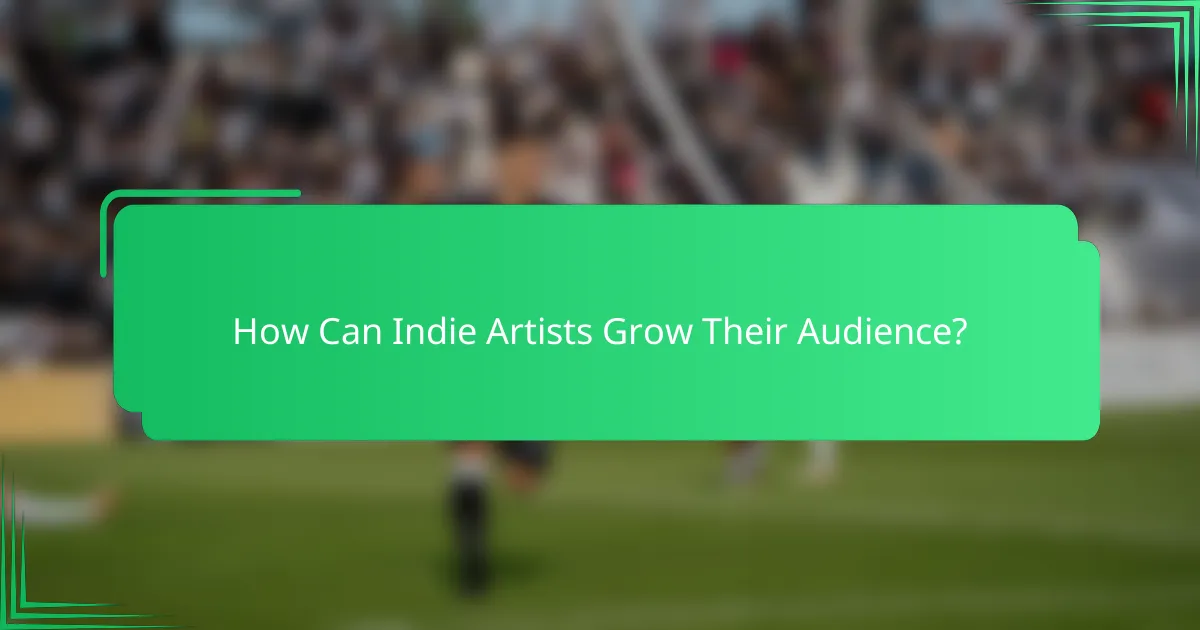 How Can Indie Artists Grow Their Audience?