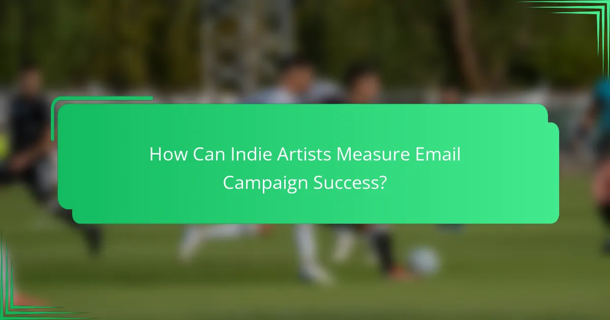 How Can Indie Artists Measure Email Campaign Success?