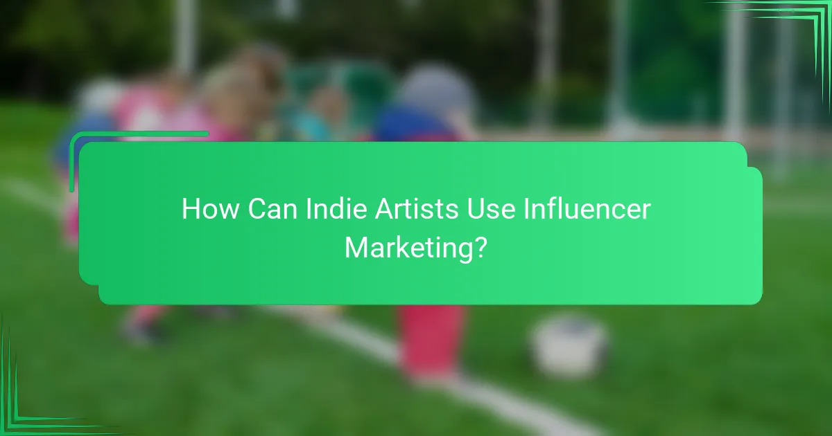 How Can Indie Artists Use Influencer Marketing?