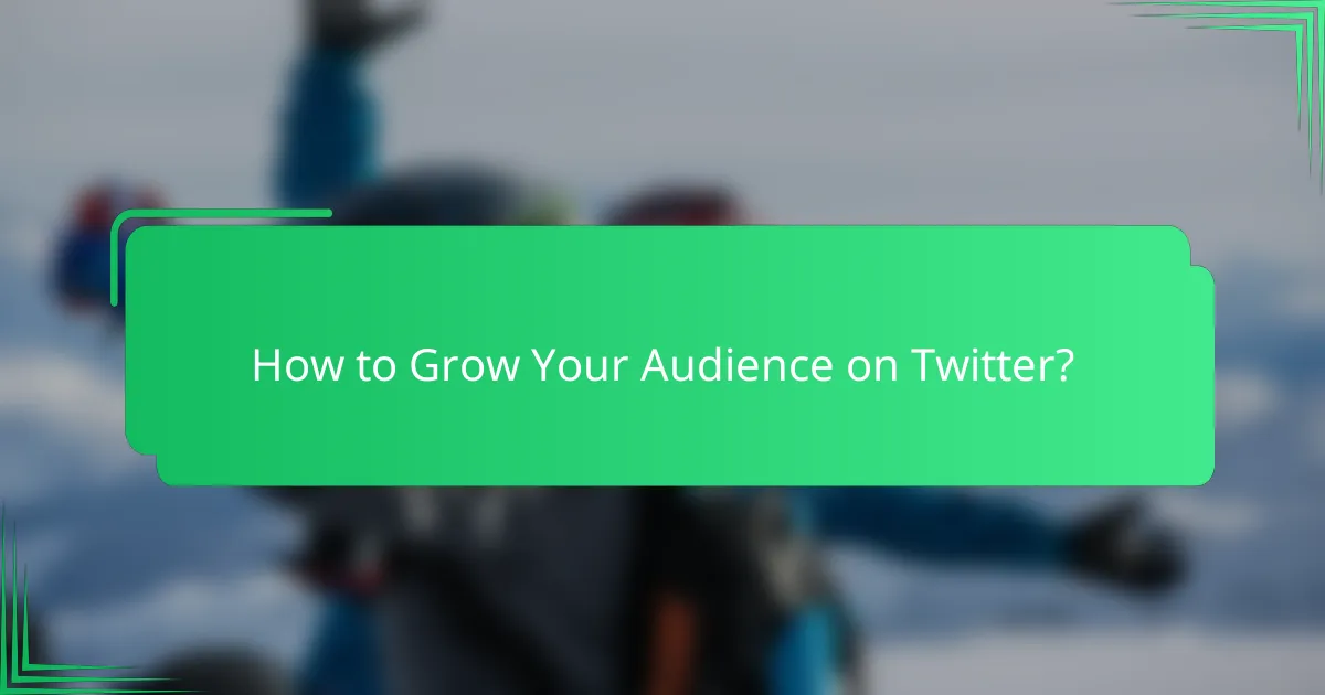 How to Grow Your Audience on Twitter?