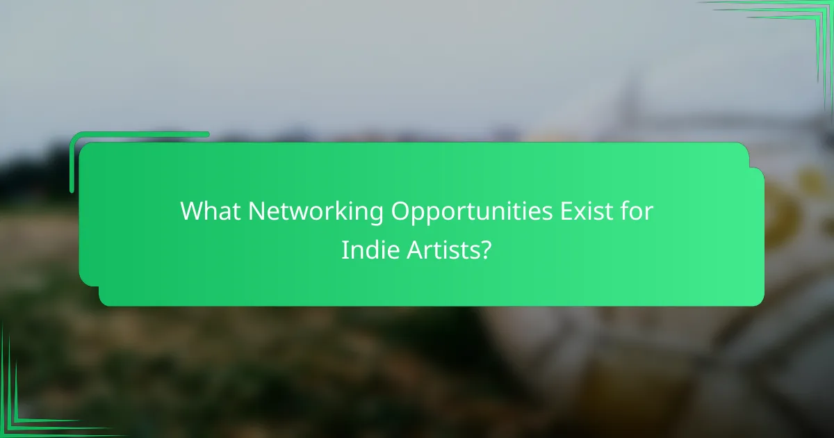 What Networking Opportunities Exist for Indie Artists?
